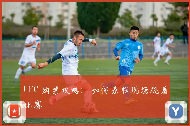 UFC 购票攻略：如何亲临现场观看比赛