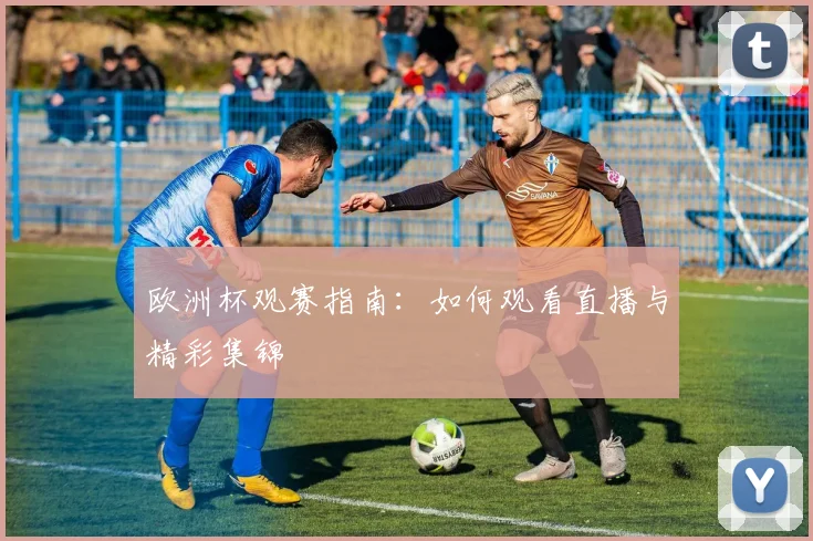 欧洲杯观赛指南：如何观看直播与精彩集锦